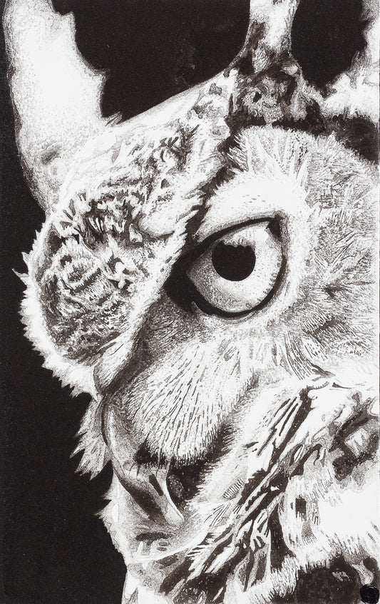 'Wisdom' Giclee Print