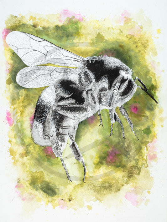 Bee Giclee Print