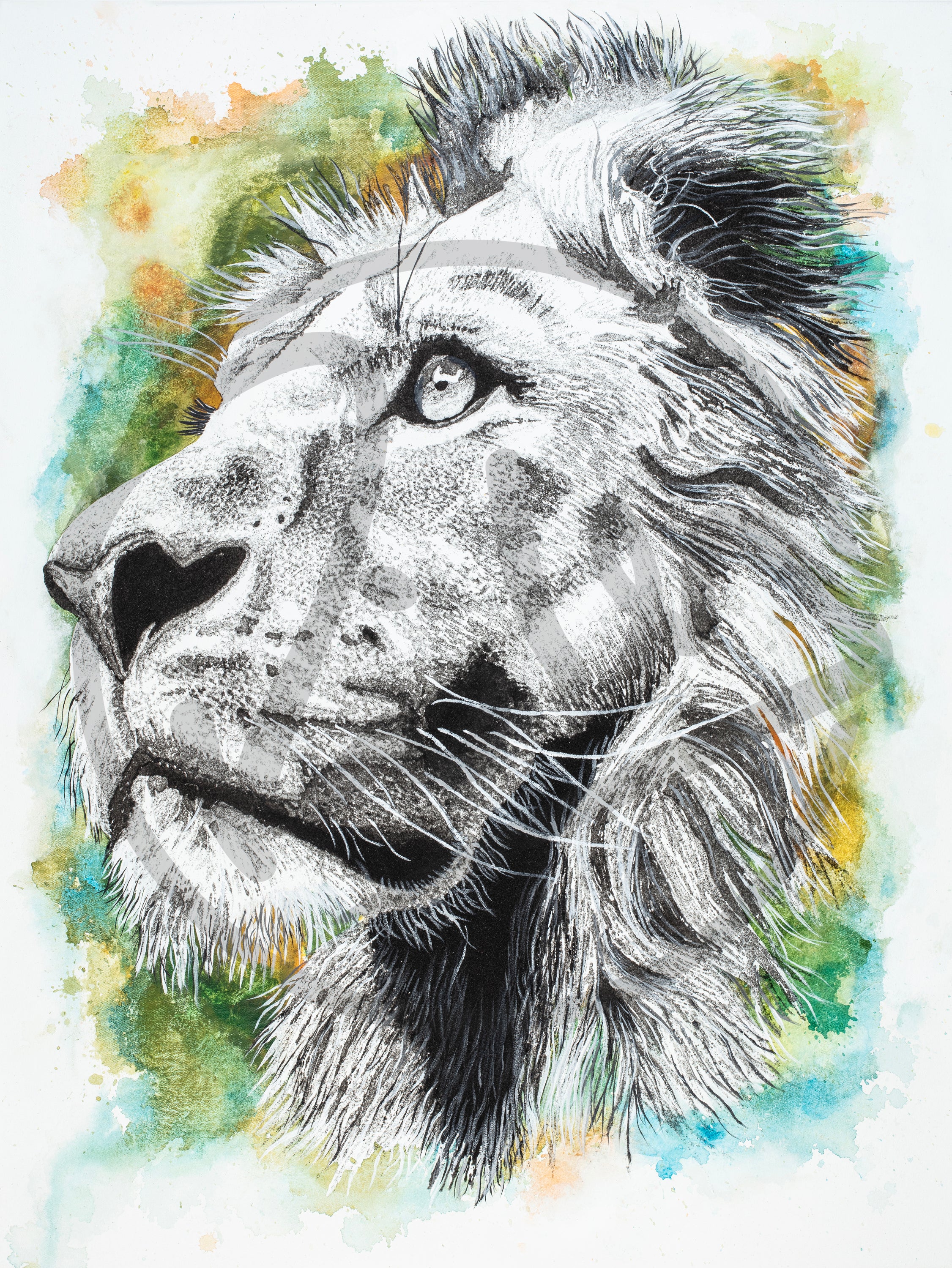 Lion Giclee Art Print by Ben Riley – Ben RiLEY Art