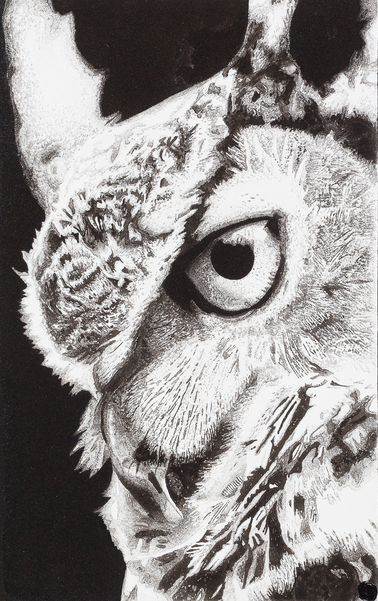 Wisdom – Ben RiLEY Art